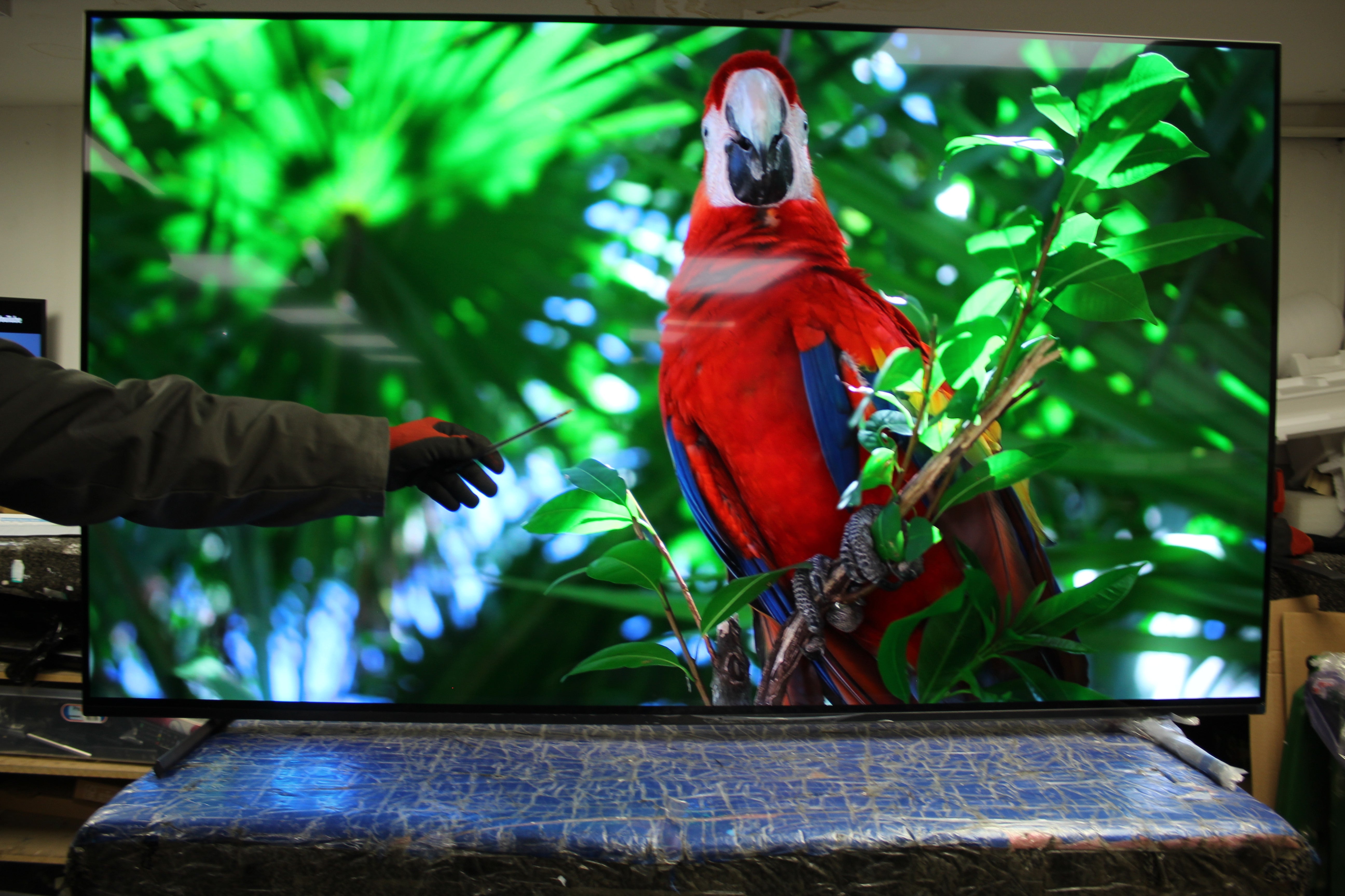 65" Sony Bravia XR65A84LU 4K HDR Google Smart OLED TV - Electronic World TV