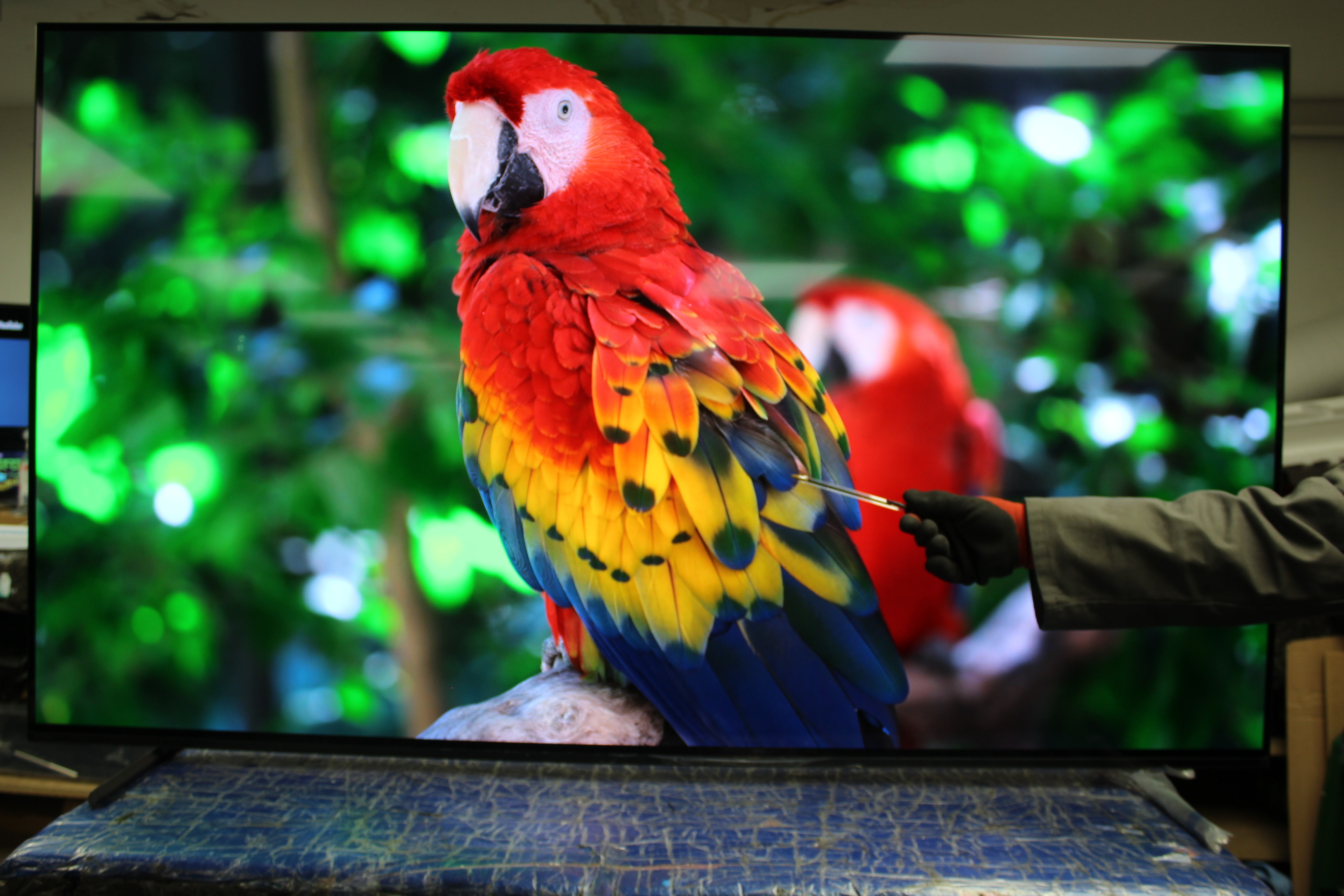 65" Sony Bravia XR65A84LU 4K HDR Google Smart OLED TV - Electronic World TV