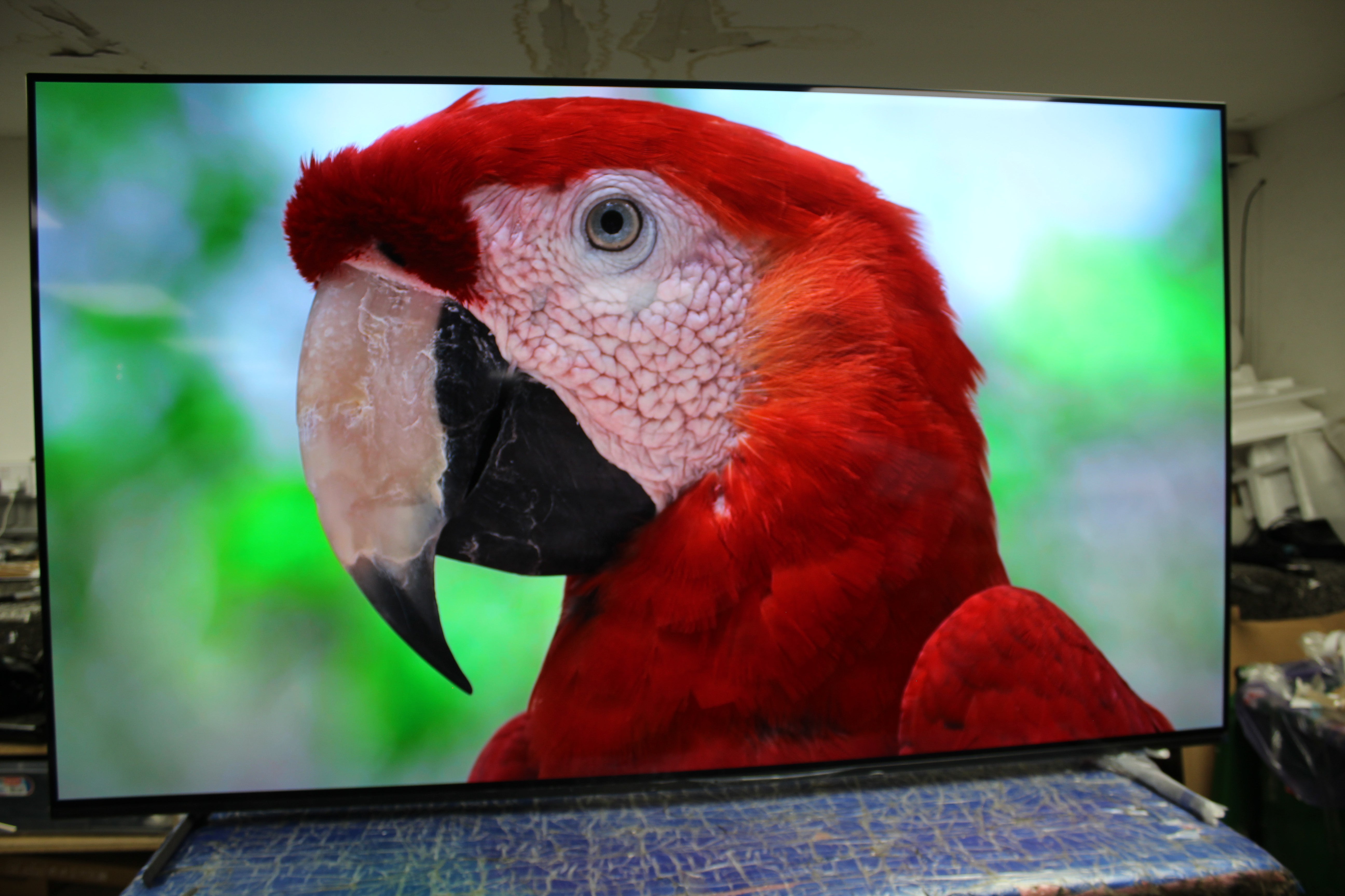 65" Sony Bravia XR65A84LU 4K HDR Google Smart OLED TV - Electronic World TV