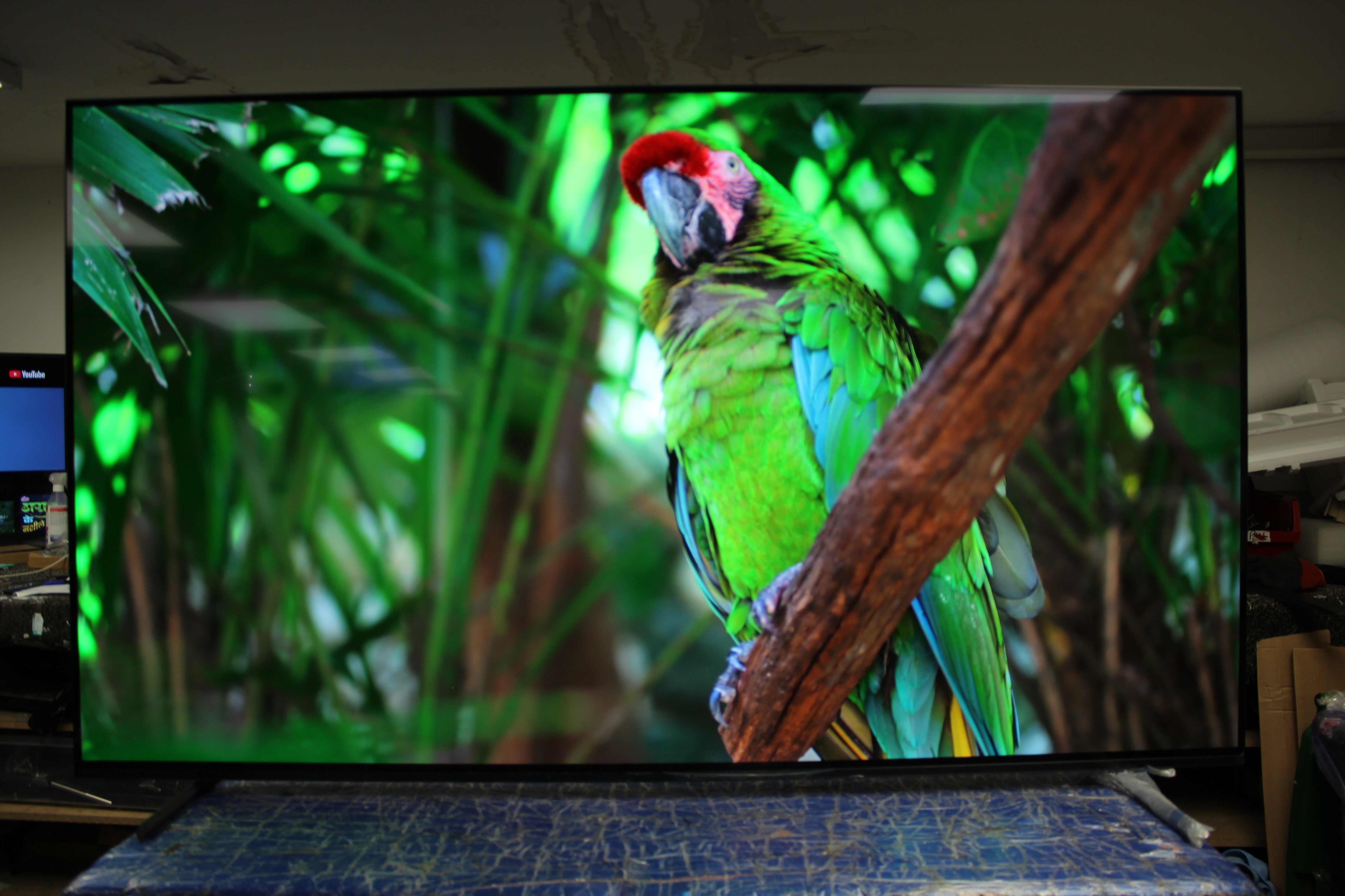 65" Sony Bravia XR65A84LU 4K HDR Google Smart OLED TV - Electronic World TV