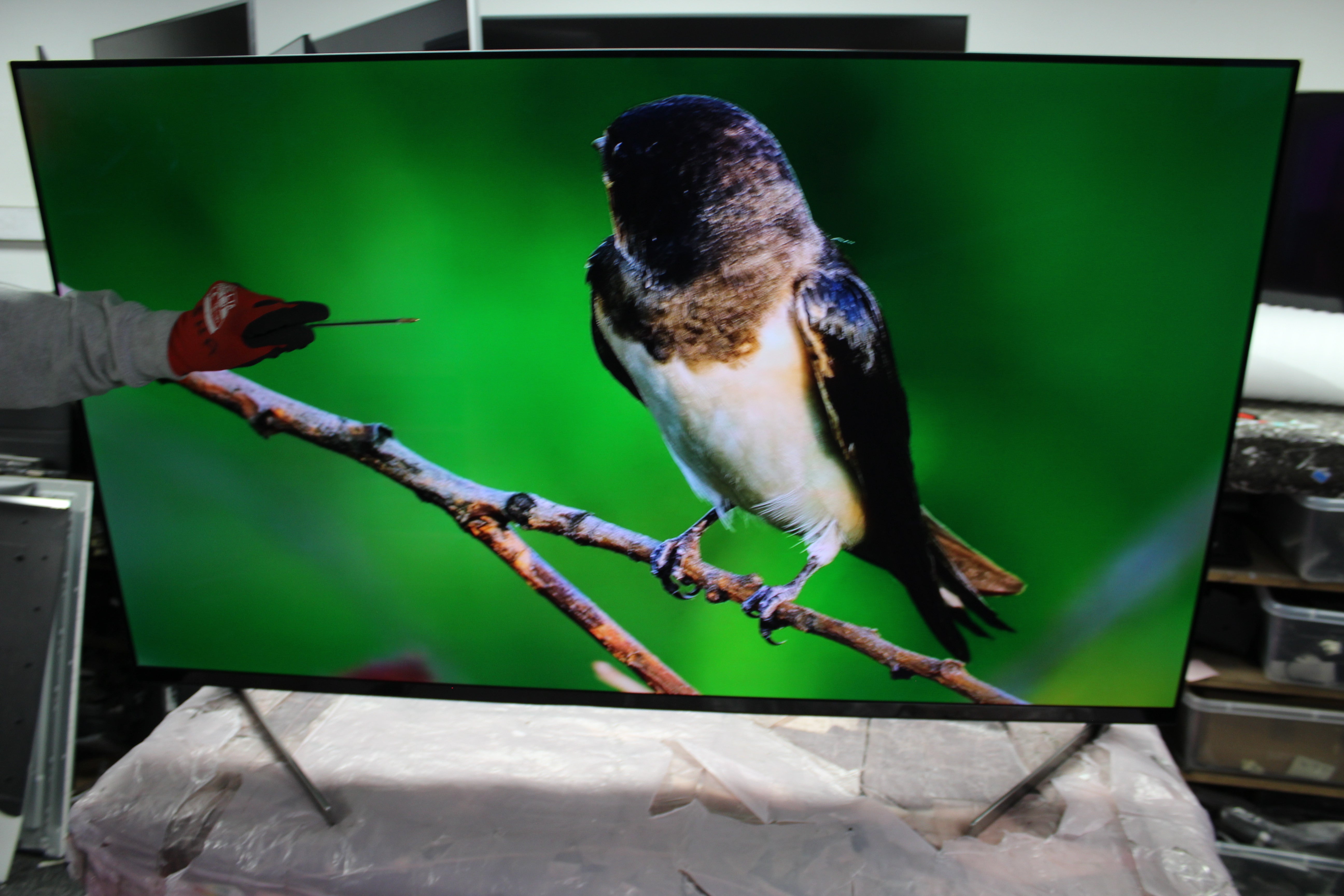 55" Sony Bravia XR55A95K 4K HDR Google Smart OLED TV - Electronic World TV