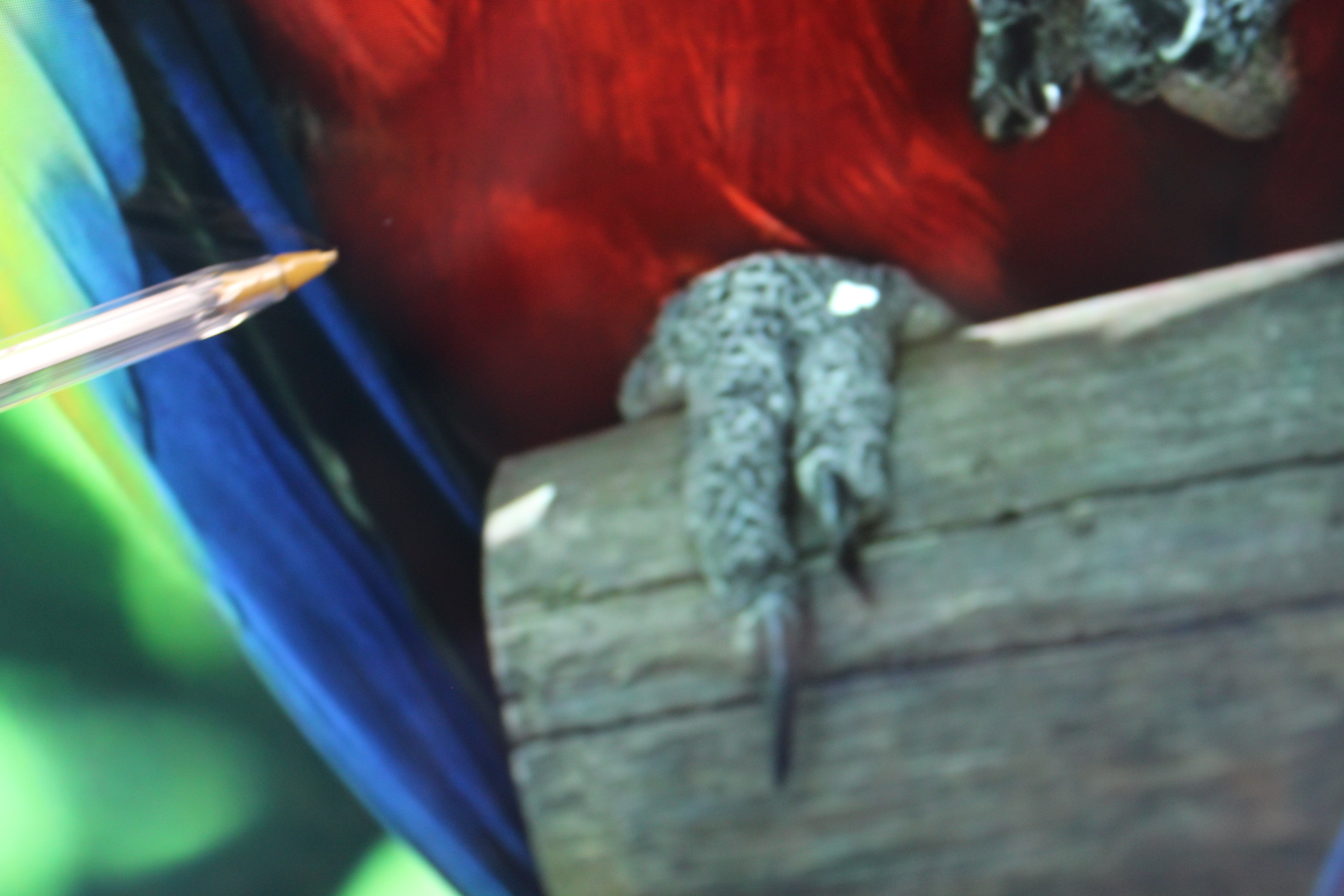 55" Sony Bravia KD55XH8096BU 4K Ultra HD Android Smart LED TV - Electronic World TV