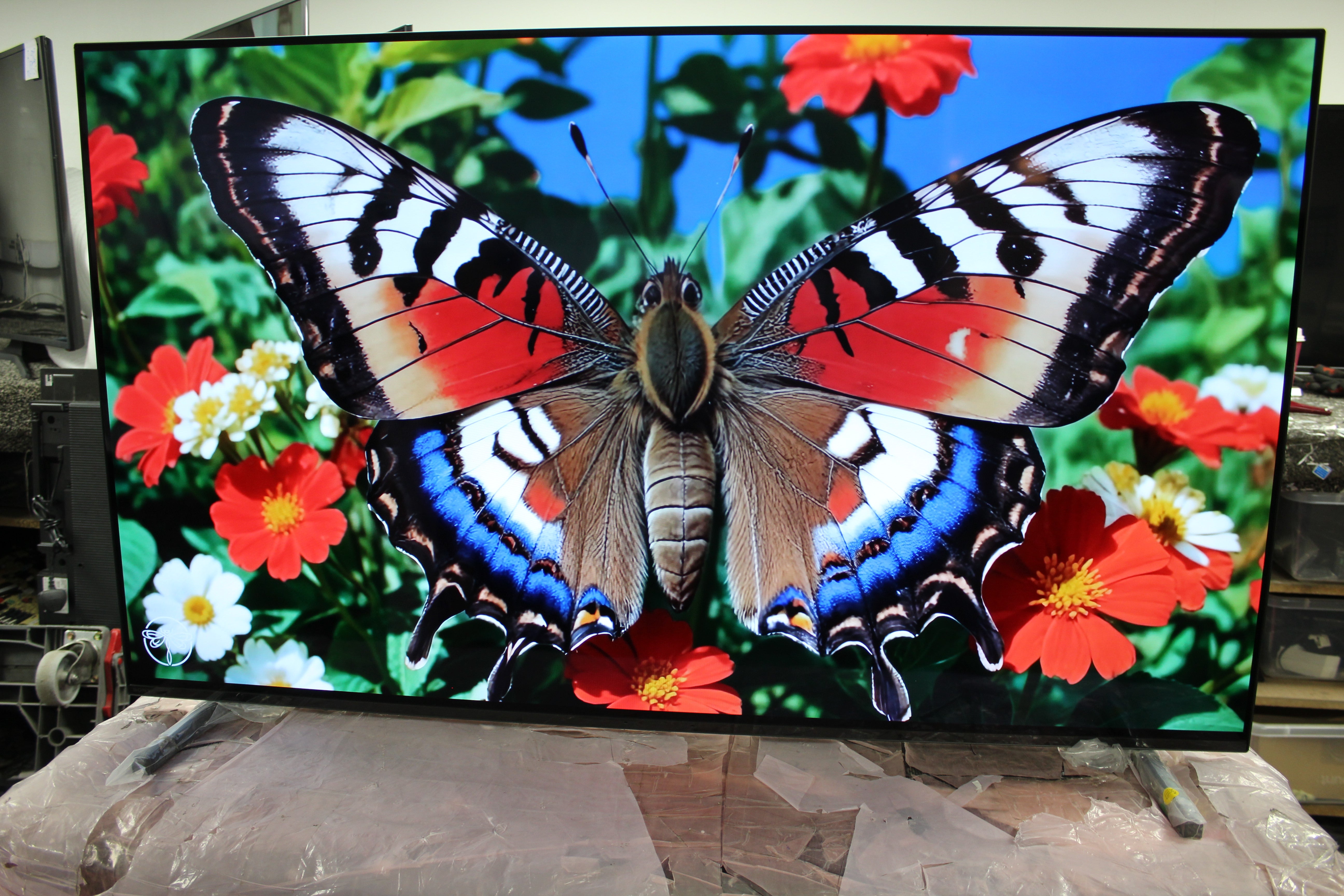 55" Sony Bravia XR55A84JU 4K HDR Google Smart OLED TV - Electronic World TV