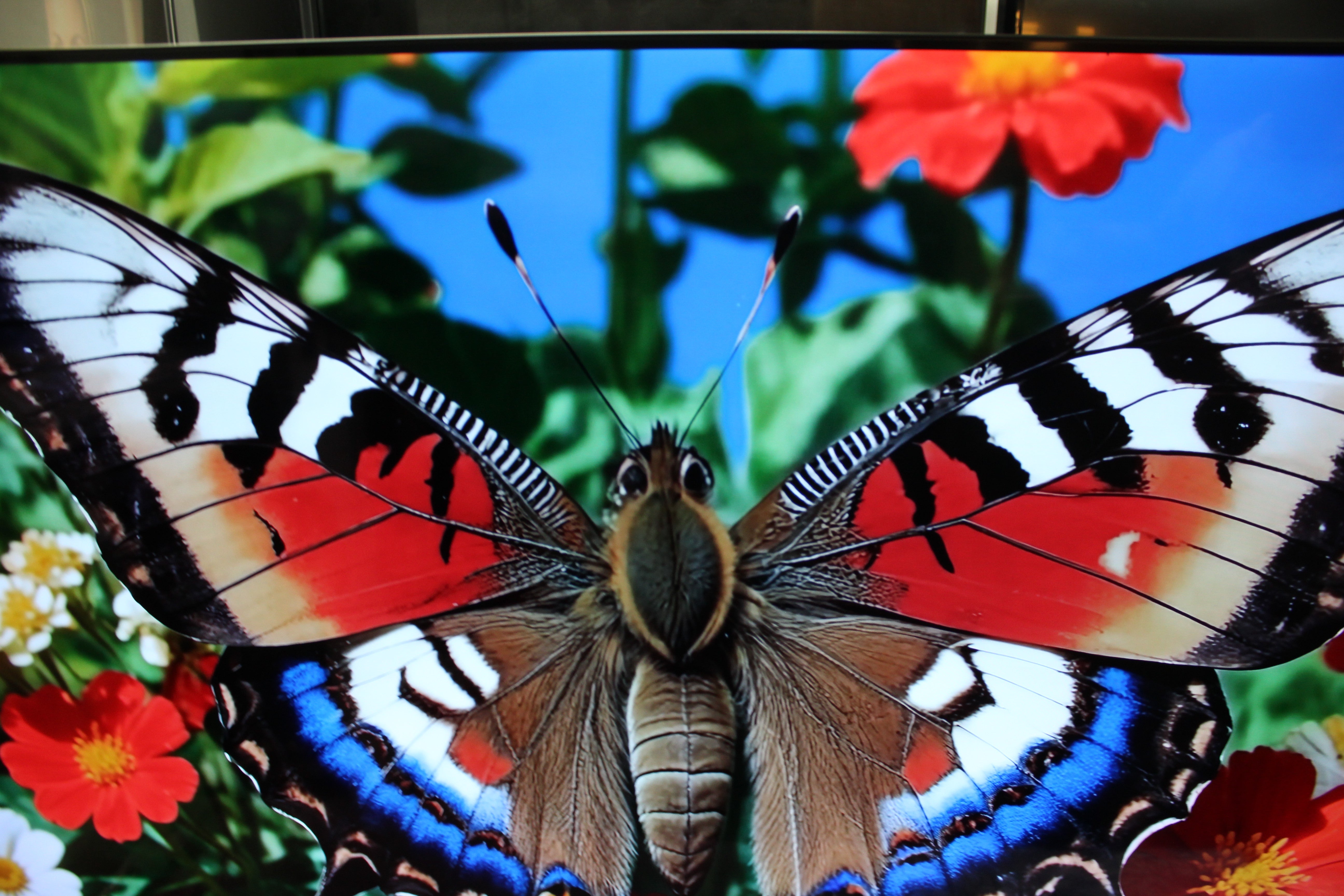 55" Sony Bravia XR55A84JU 4K HDR Google Smart OLED TV - Electronic World TV